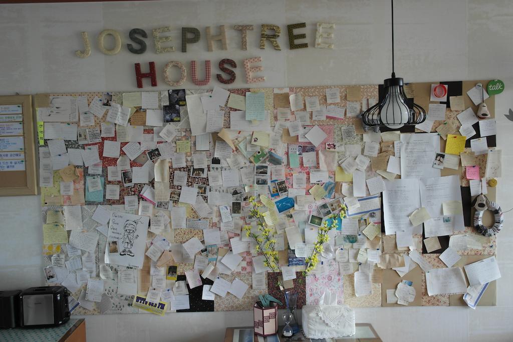 Joseph Tree Guest House Czedżu Zewnętrze zdjęcie